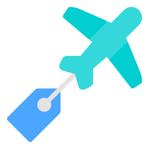 icon of a plane with a ticket